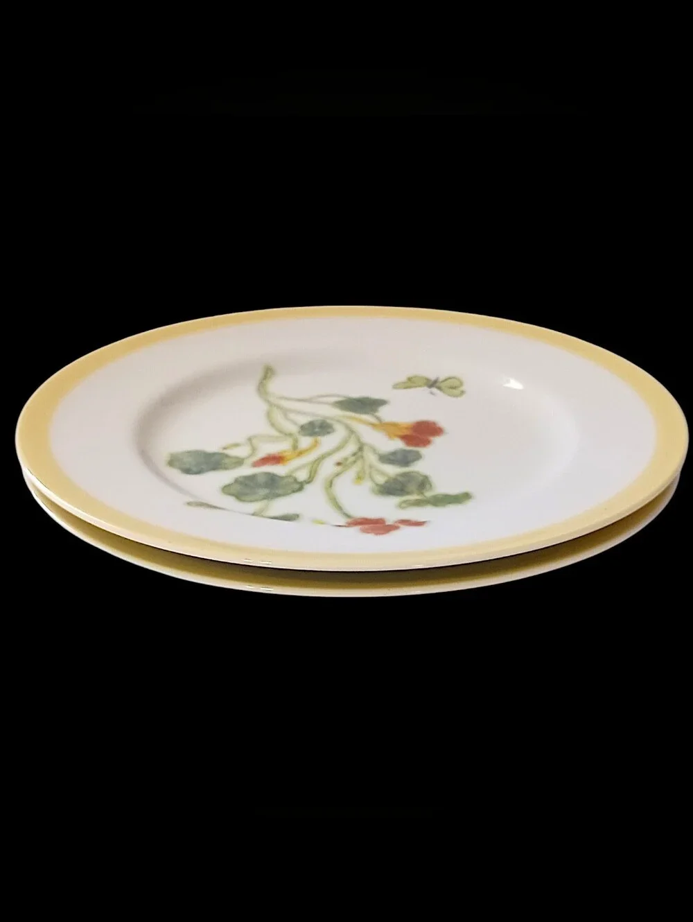 2 Williams Sonoma Flowering Herbs Salad Plates Purple Herb Flowers Nasturtium